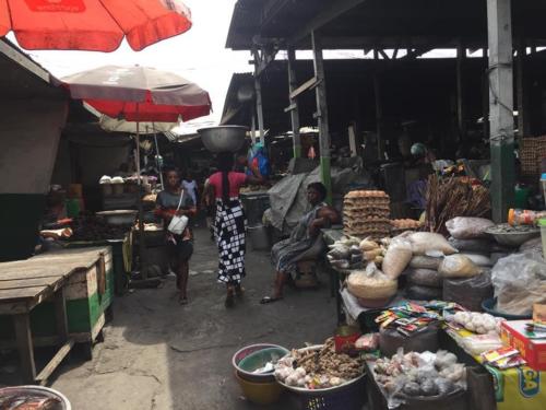 87073245 2693557457535765 1326119621345935360 n