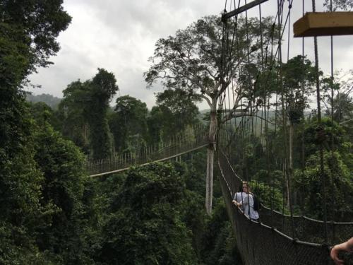 87365672 2695629367328574 4058356211928530944 n