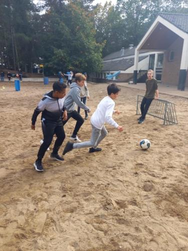 c7931355-9ab8-4eb3-a63f-6e57bd23c35a